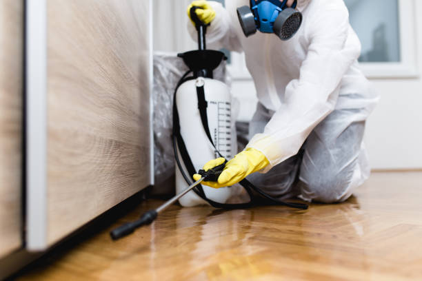 Best Spider Control Near Me  in Oceanport, NJ