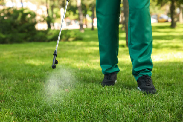 Flea Control Services in Oceanport, NJ