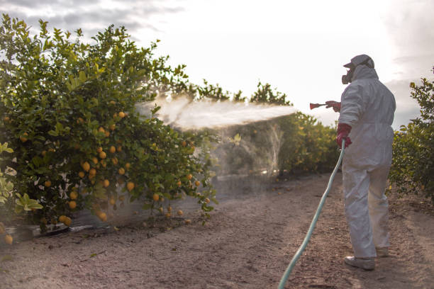 Best Pest Removal Services  in Oceanport, NJ
