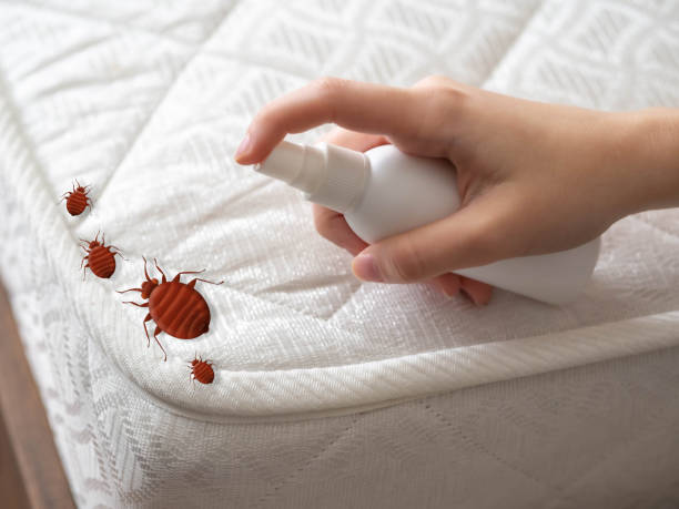 Best Cockroach Control Services  in Oceanport, NJ