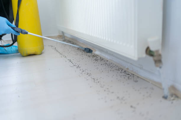 Best Emergency Pest Control  in Oceanport, NJ
